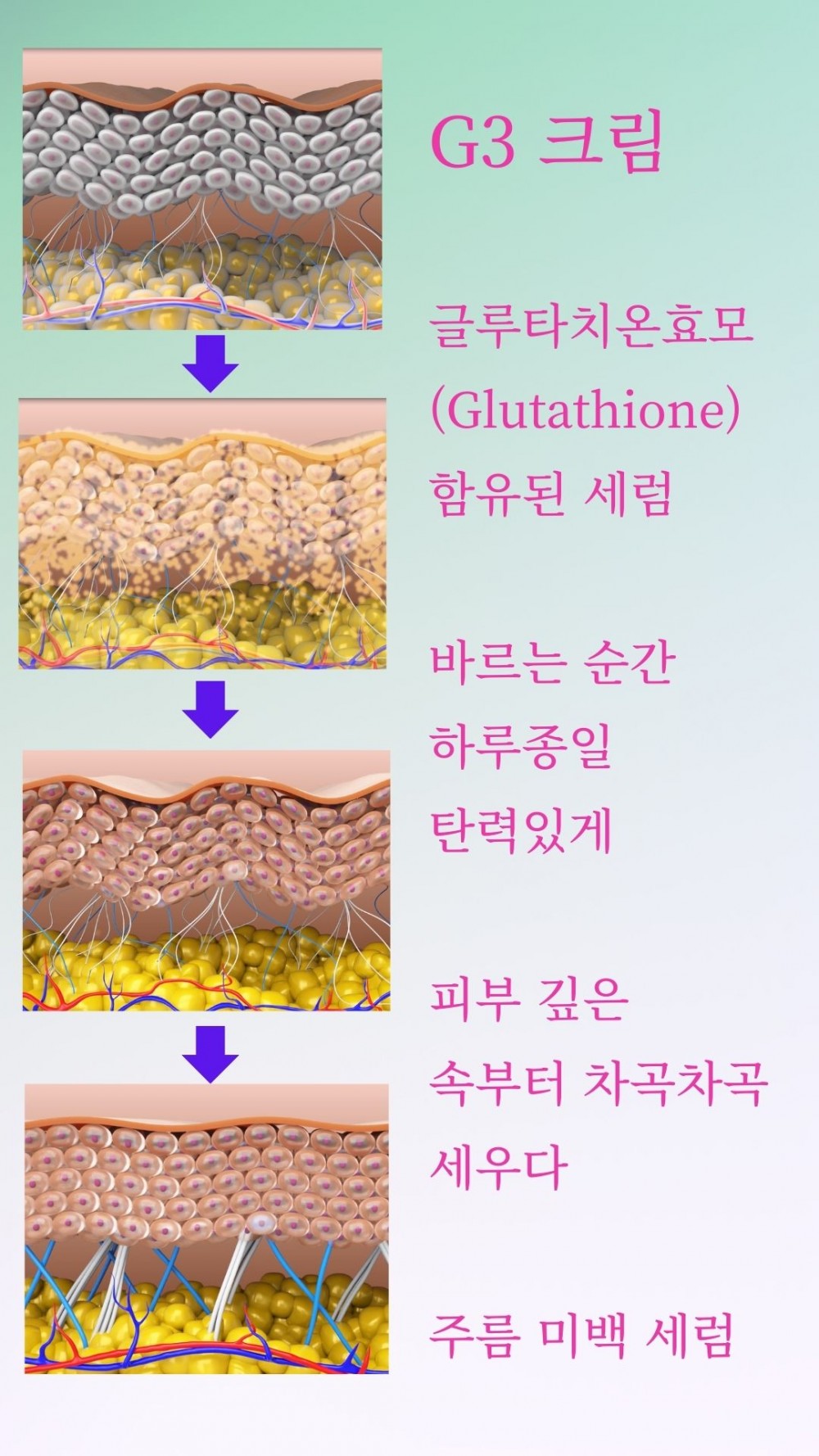 2fe3c820a8eba33d03055d4386ddbdc9_1736757630_4968.jpg